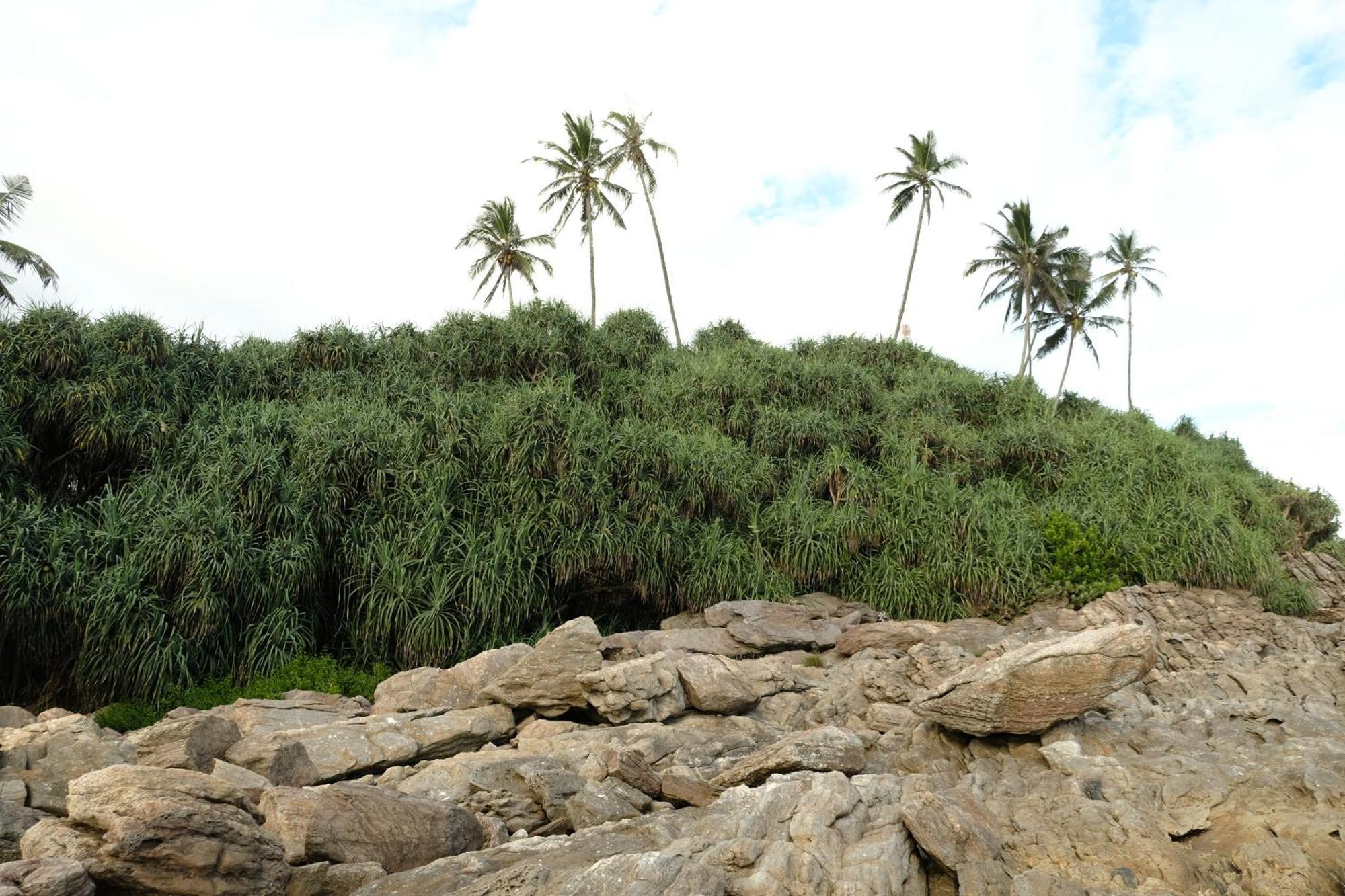 Menaka Homestay Tangalle Bagian luar foto